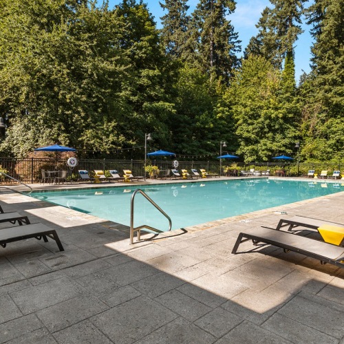 Outdoor Pool and Lounge Area lounge area poolside