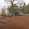 large, gated dog park with play equipment